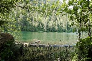 Vancouver Island